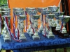 Кубки и медали на Кубке Алгоритм 2013