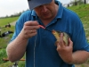 Сергей освобождает рыбу от крючка экстрактором